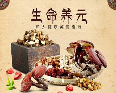 生命養(yǎng)元